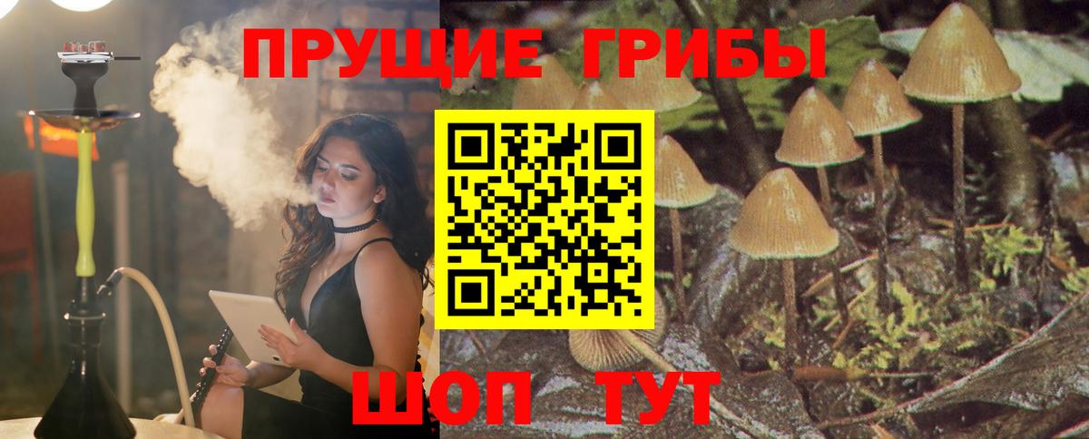 Галлюциногенные грибы Magic Shrooms  Вход с VPN  Острогожск 
